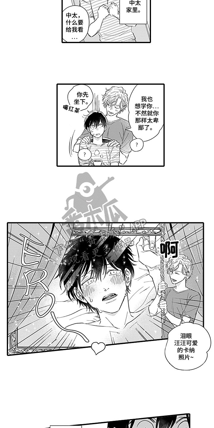 第17章：天降命运【完结】