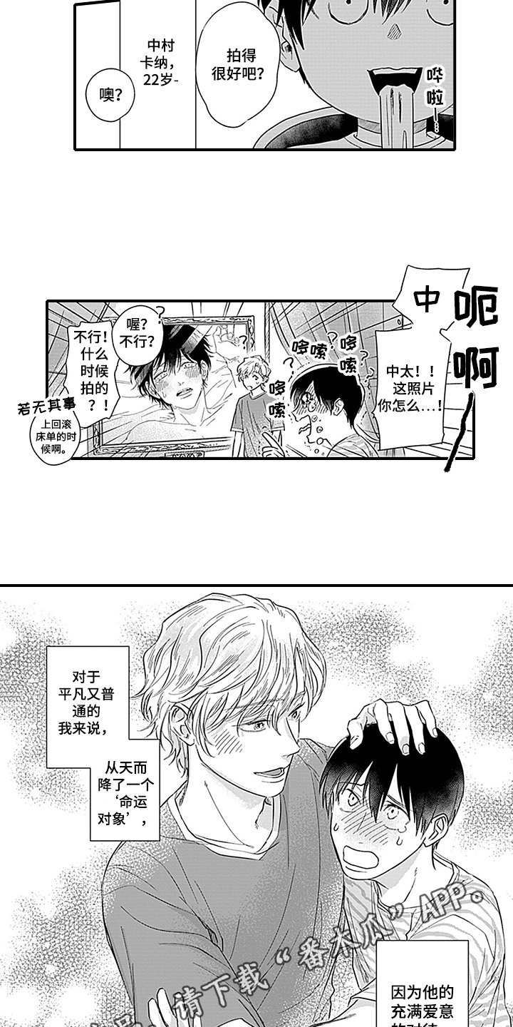 第17章：天降命运【完结】