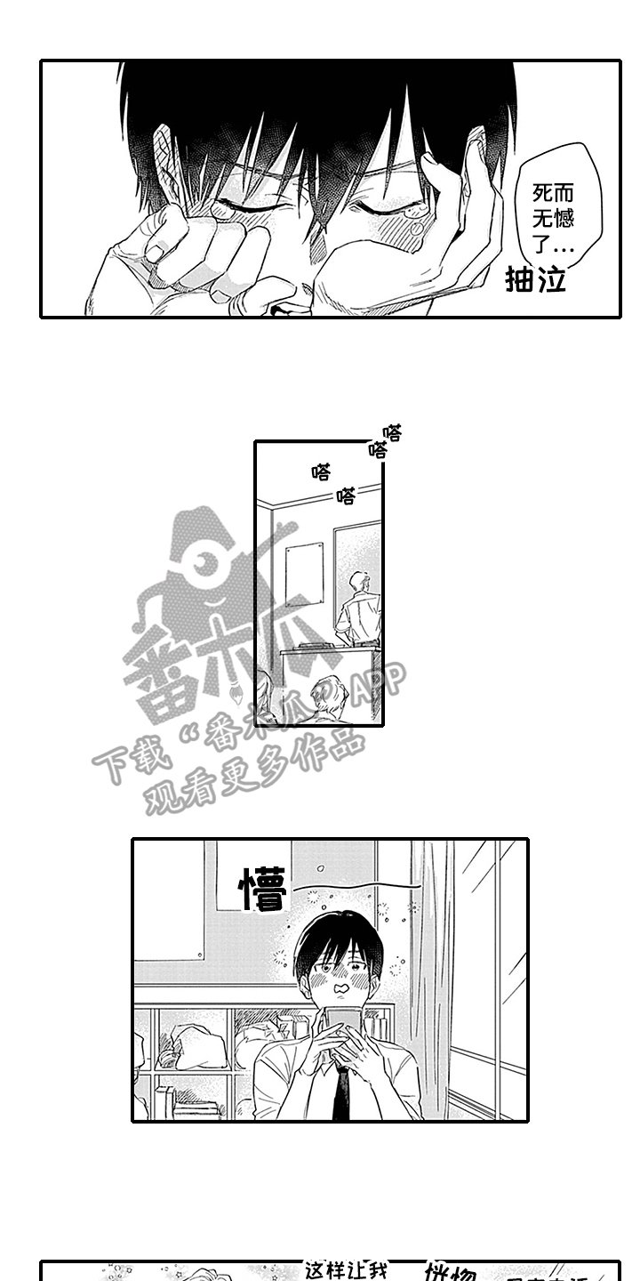 第6章：猜测