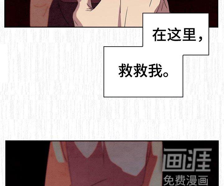 第17章：求救
