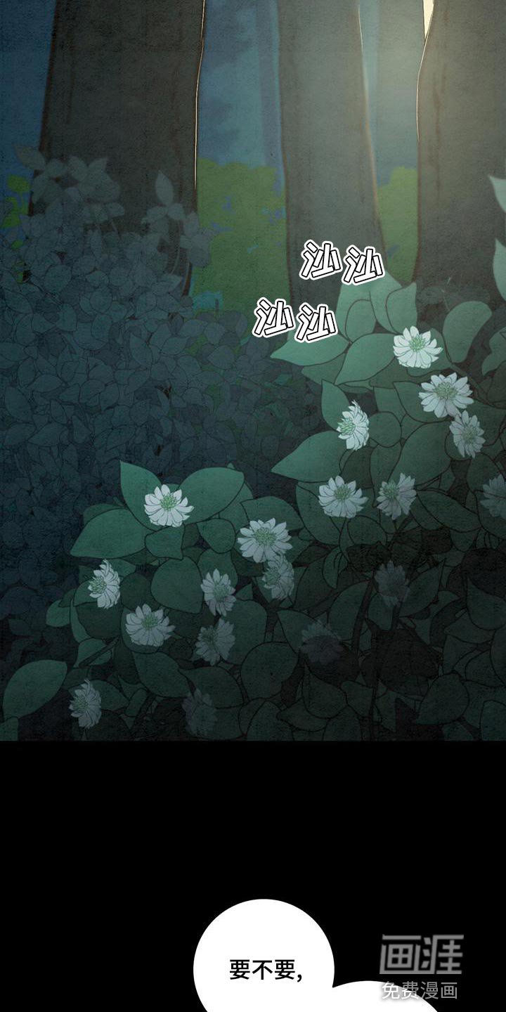 第46章：星星下凡