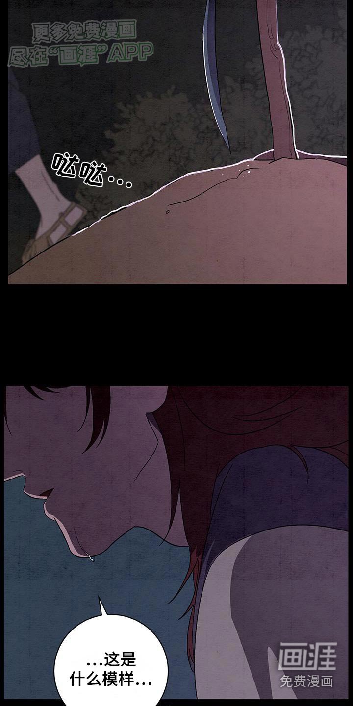 第81章：我能做的