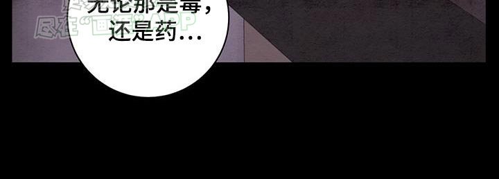 第81章：我能做的