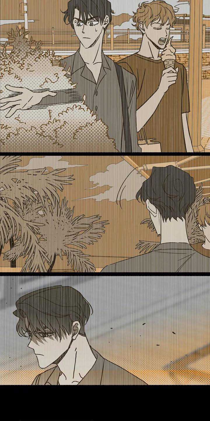 第11章：接受现实