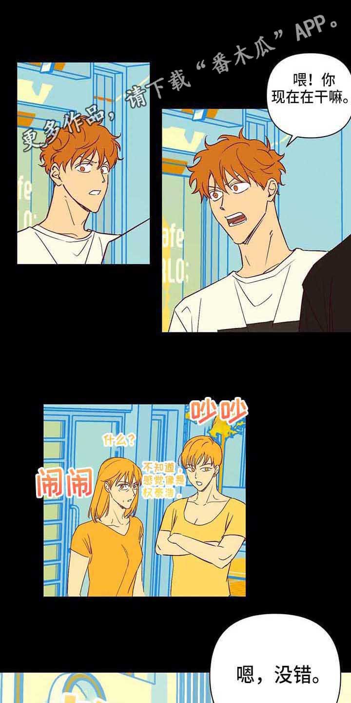 第19章：烦人