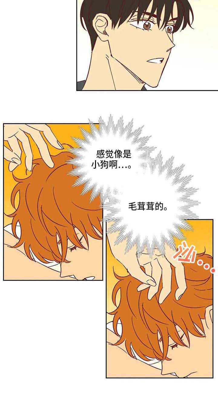 第22章：冷漠