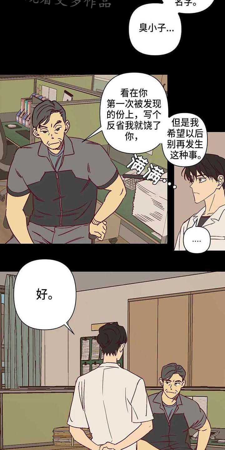 第27章：调查问卷