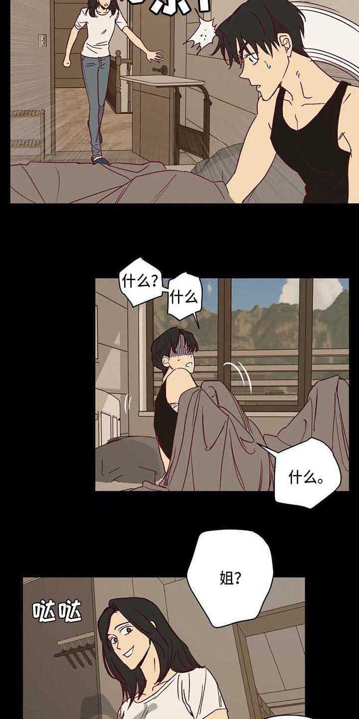 第27章：调查问卷