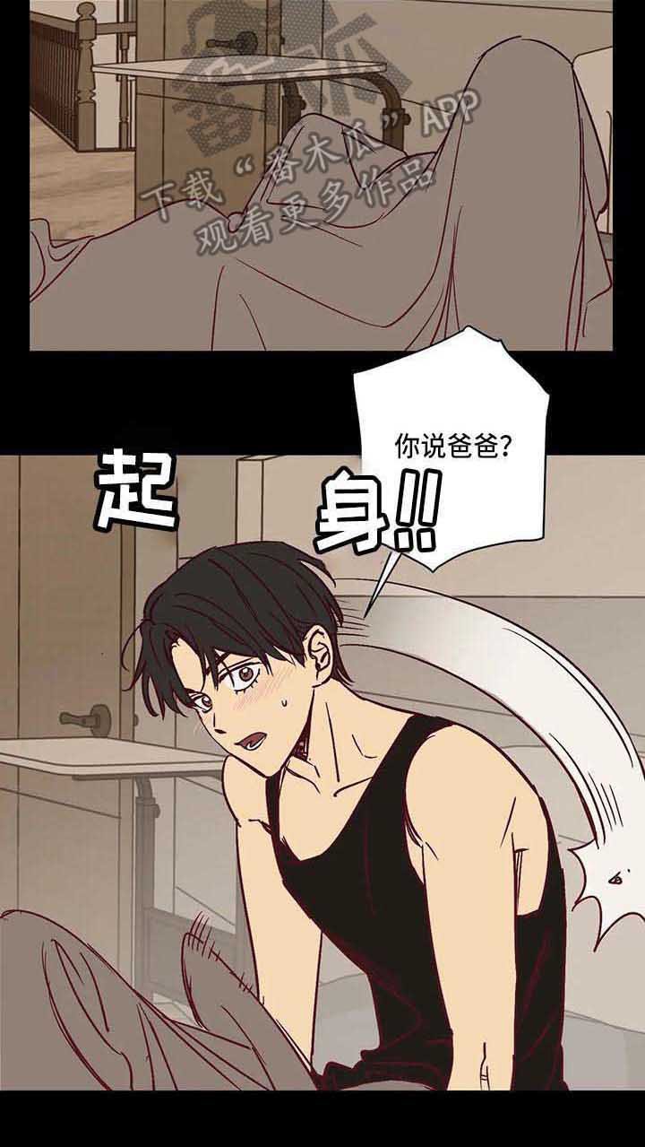 第27章：调查问卷