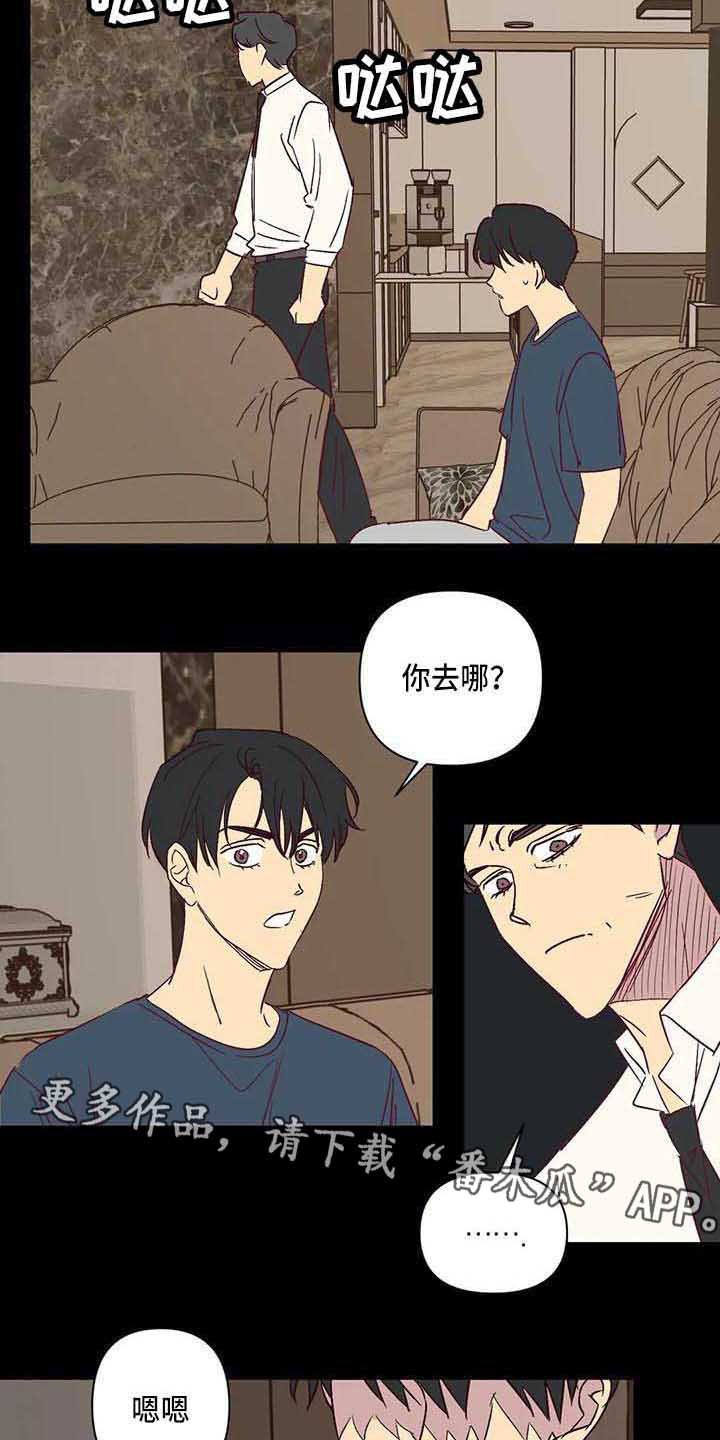 第29章：离婚