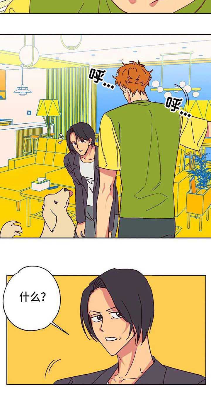 第3章：车祸