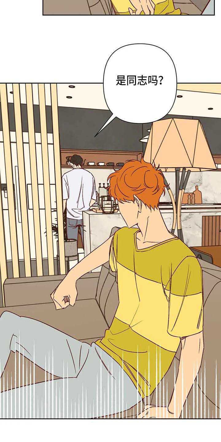 第31章：试探