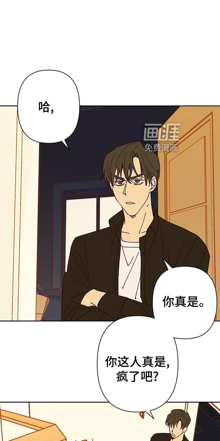 第44章：提议