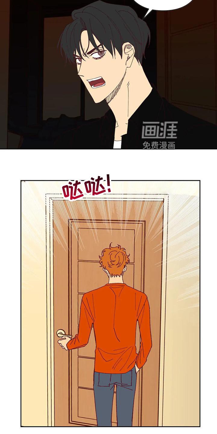 第44章：提议