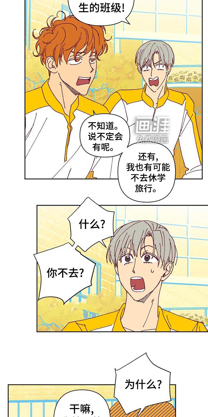 第44章：提议