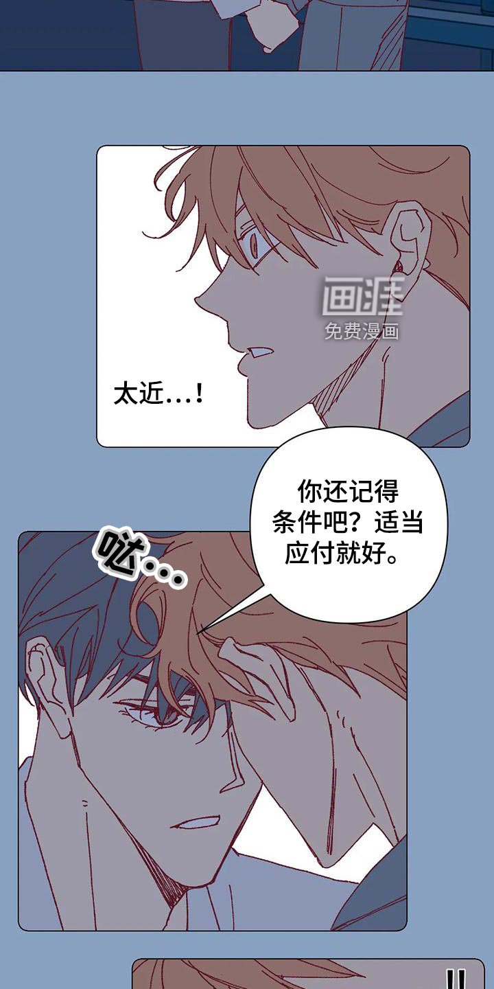 第50章：应付条件