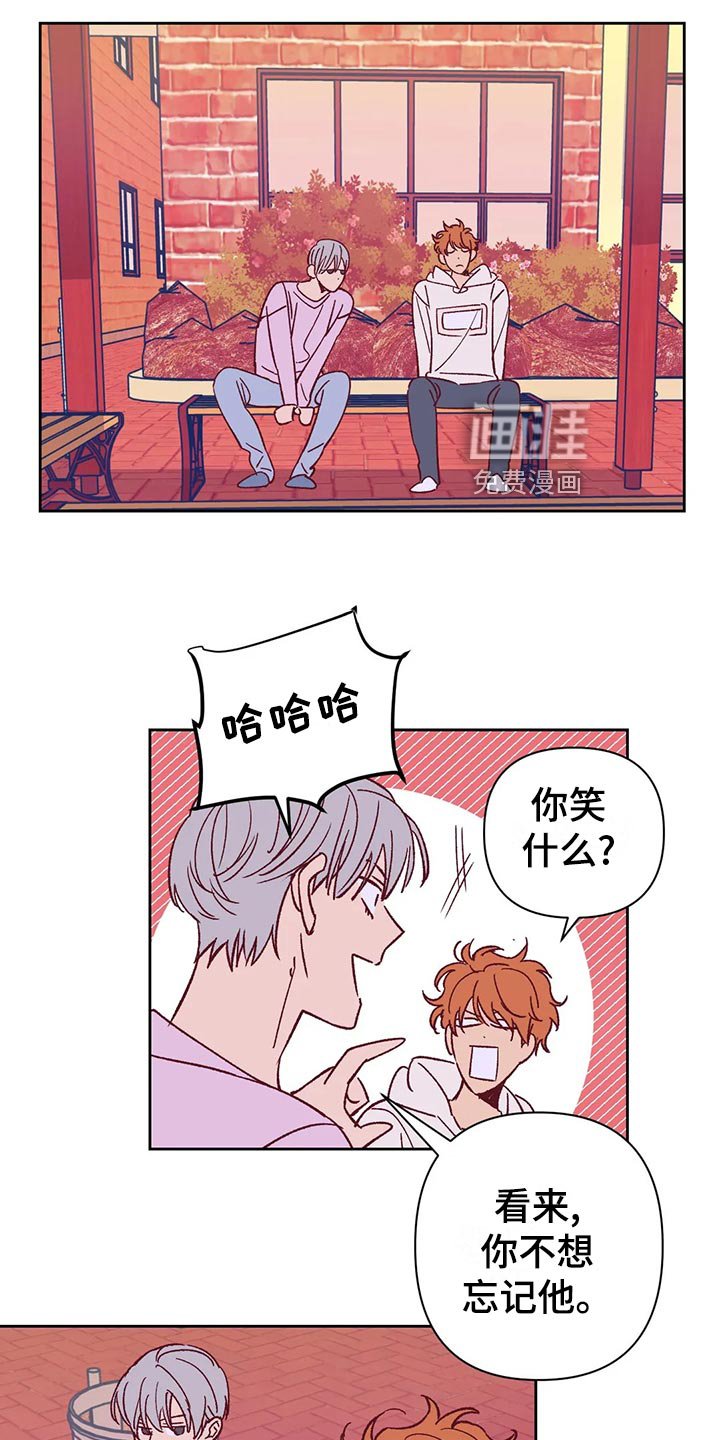 第62章：建议