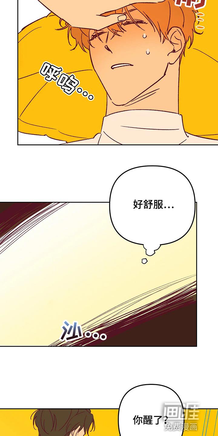 第67章：回家吧