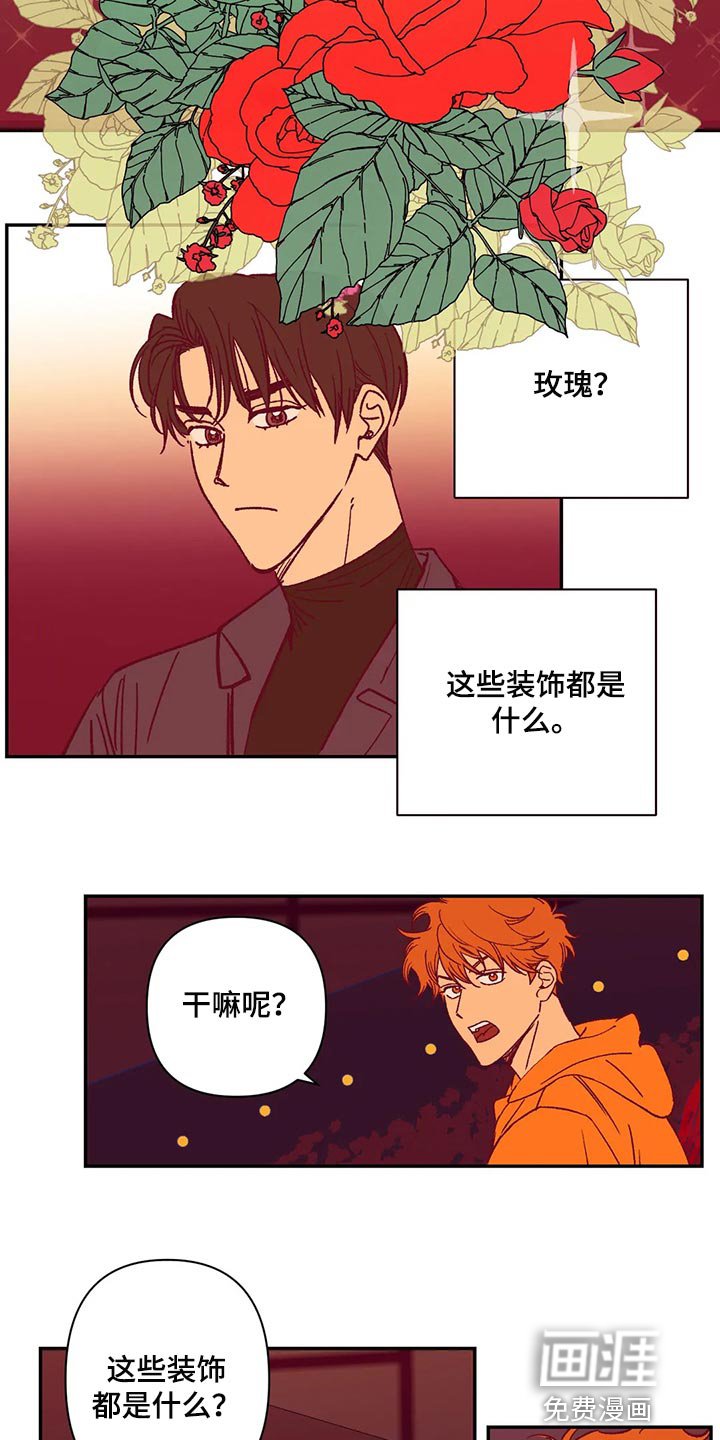 第74章：玫瑰