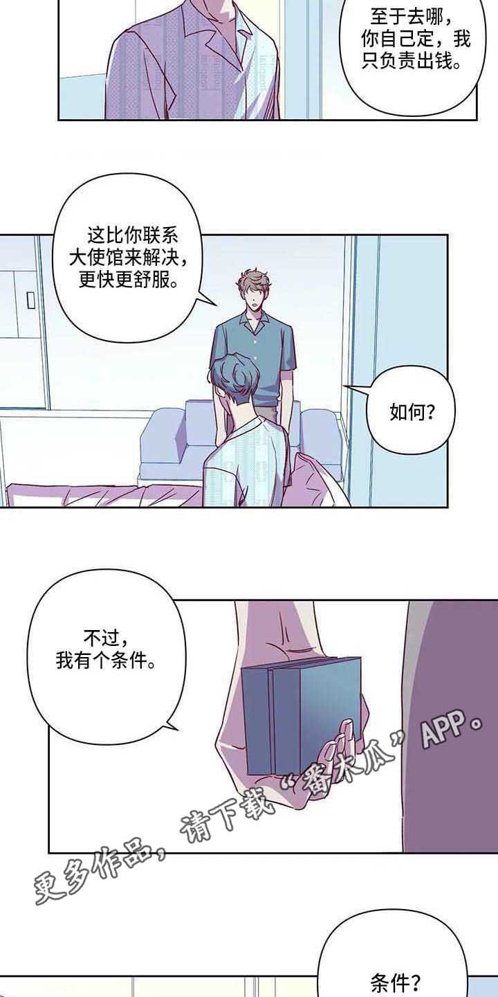 第8章：条件