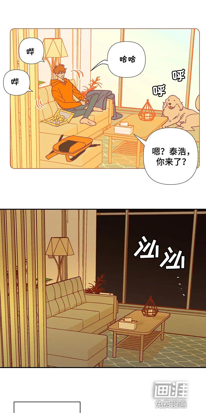 第84章：代价