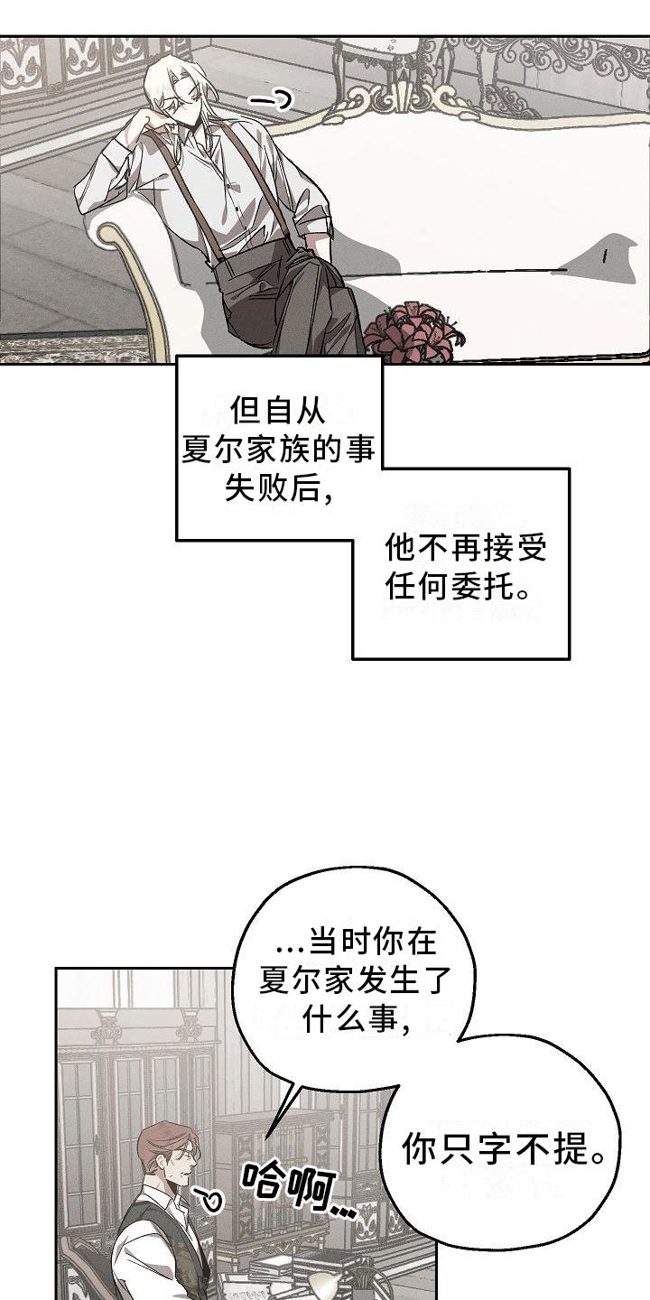 第1章：薰衣草花园：紫色宝石
