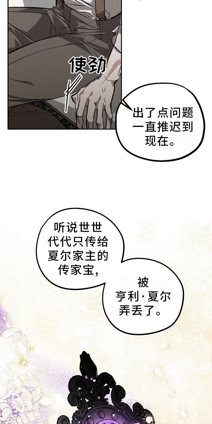 第1章：薰衣草花园：紫色宝石