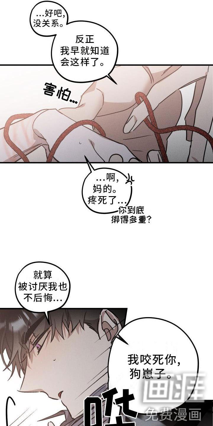第10章：薰衣草花园：出乎意料
