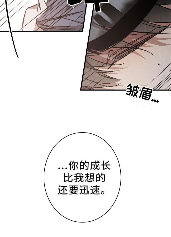 第10章：薰衣草花园：出乎意料