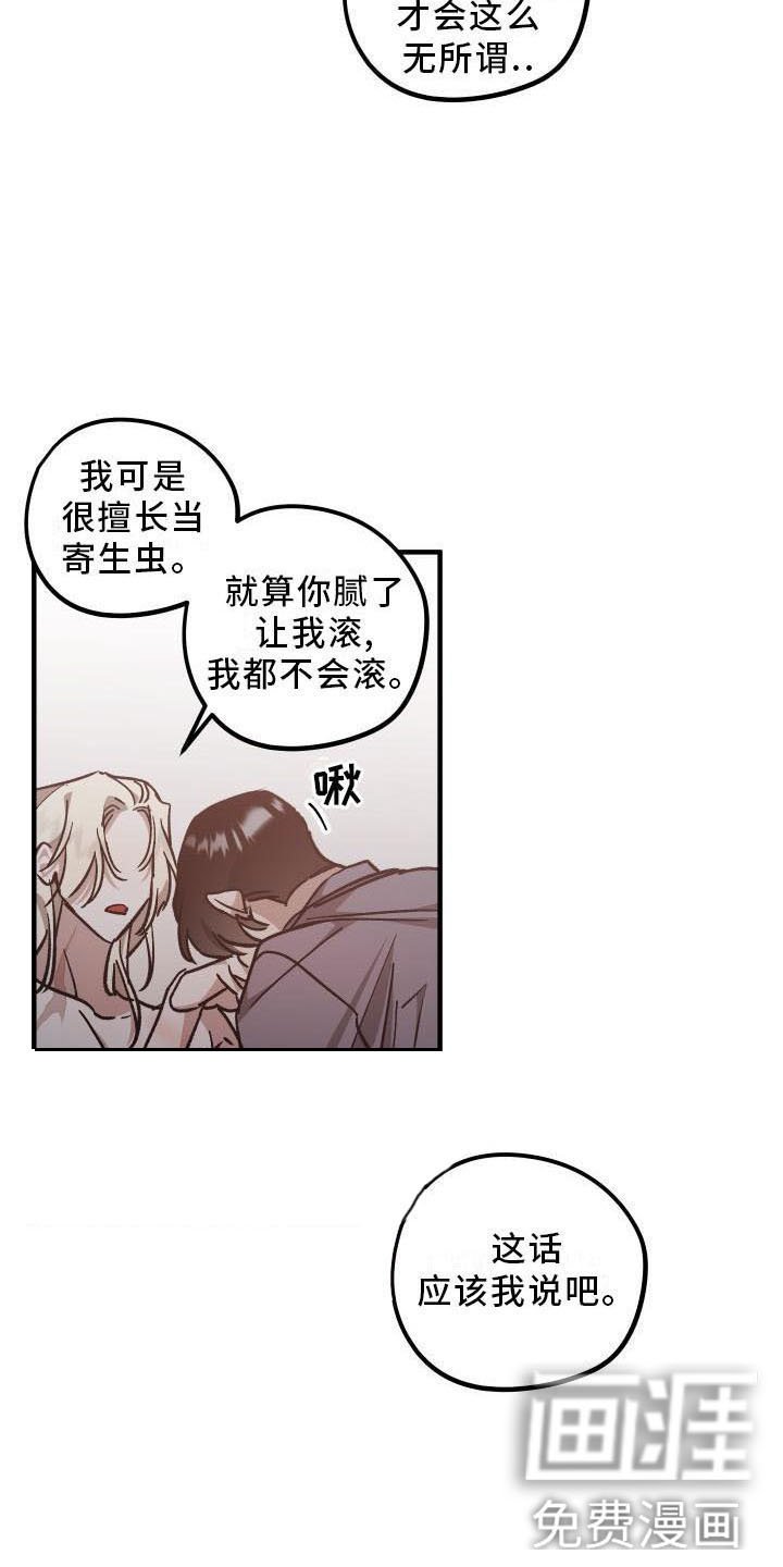 第11章：薰衣草花园：别走