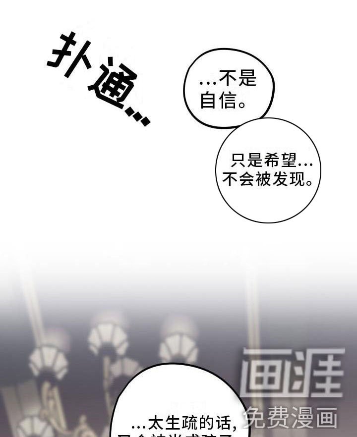 第12章：薰衣草花园：喜欢