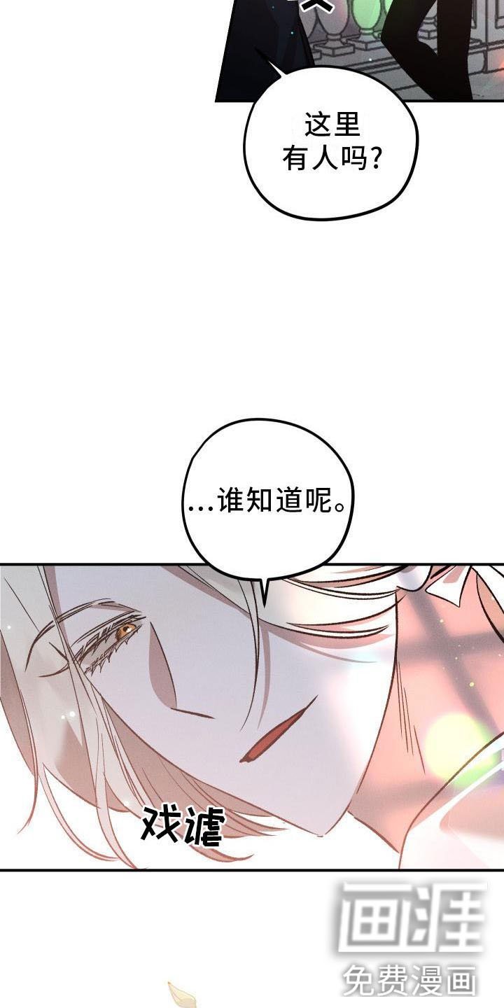 第13章：薰衣草花园：拥抱幸福（完）