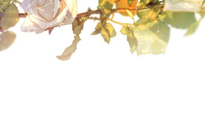 第13章：薰衣草花园：拥抱幸福（完）