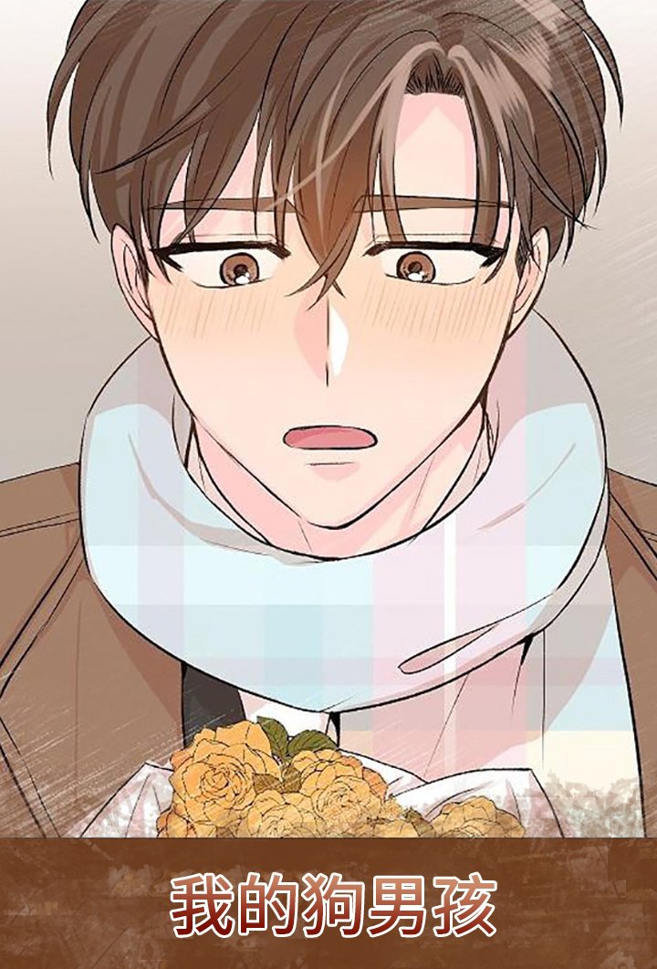 第19章： 我的狗男孩：产品试用