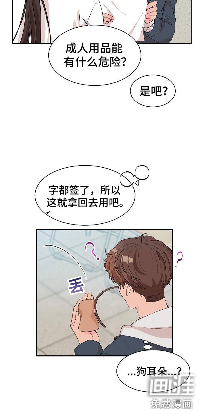 第19章： 我的狗男孩：产品试用
