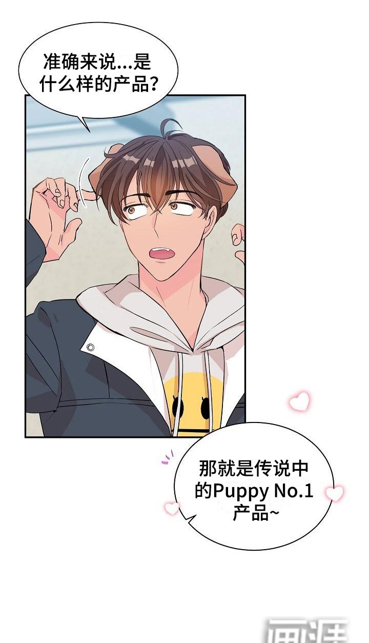 第19章： 我的狗男孩：产品试用