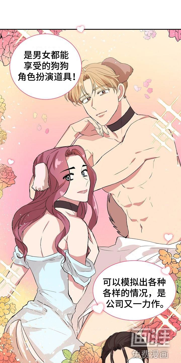 第19章： 我的狗男孩：产品试用