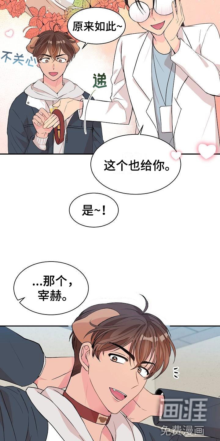 第19章： 我的狗男孩：产品试用