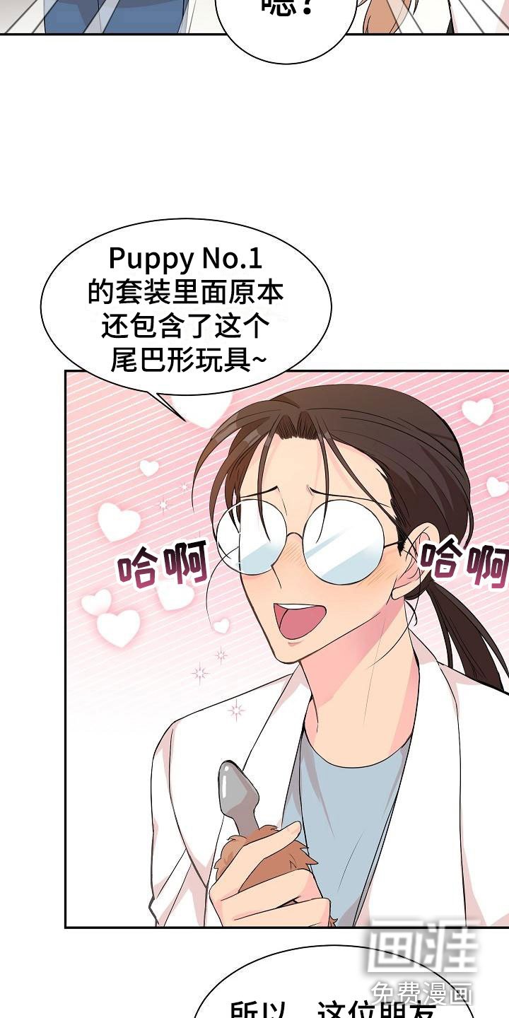第19章： 我的狗男孩：产品试用