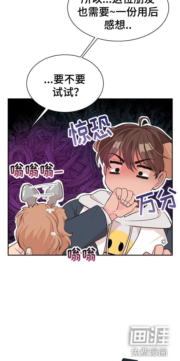 第19章： 我的狗男孩：产品试用