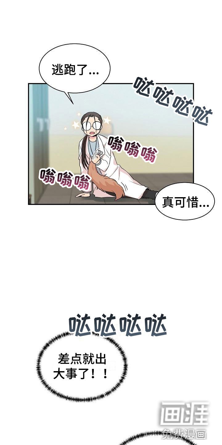 第19章： 我的狗男孩：产品试用