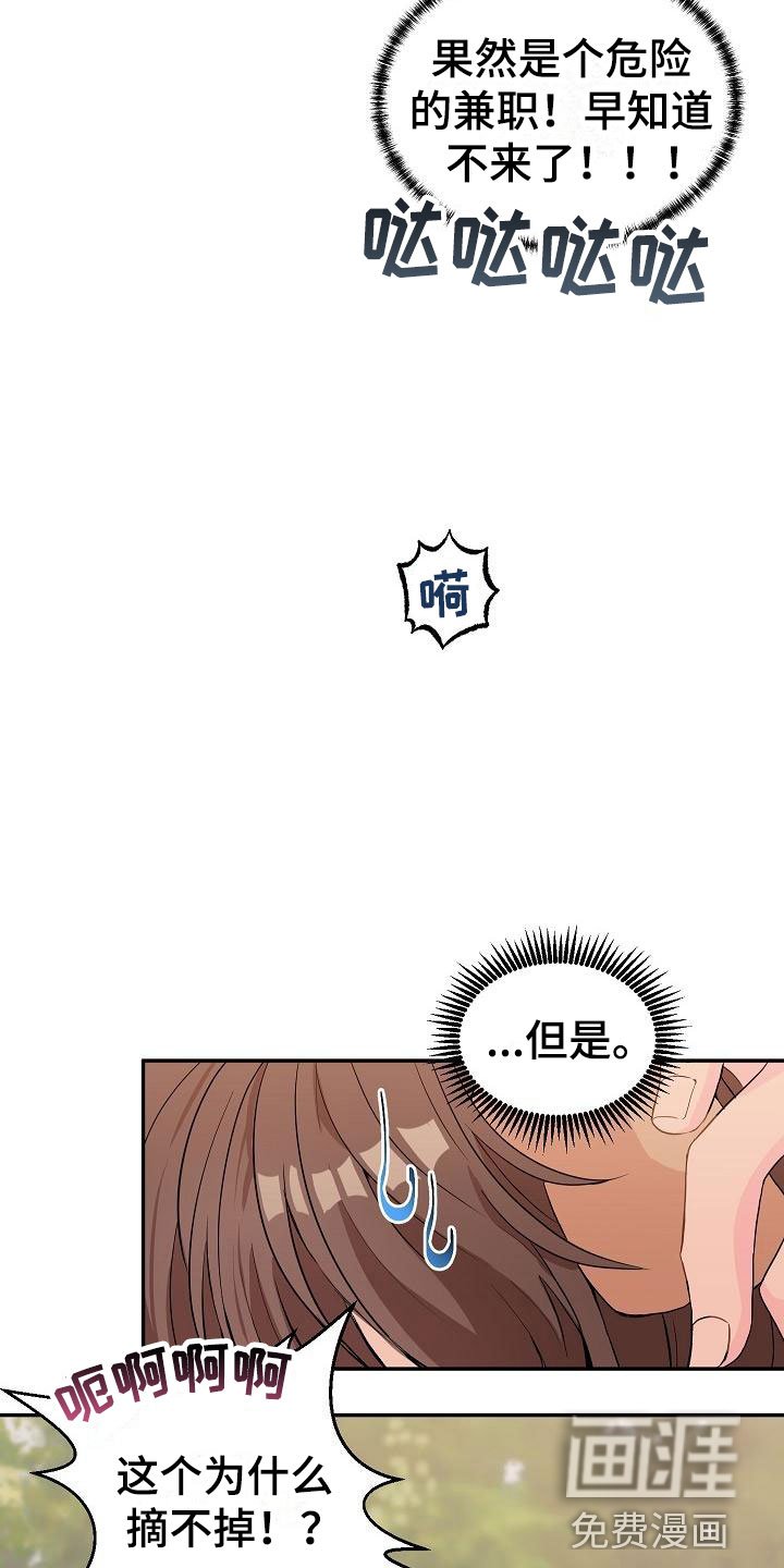 第19章： 我的狗男孩：产品试用