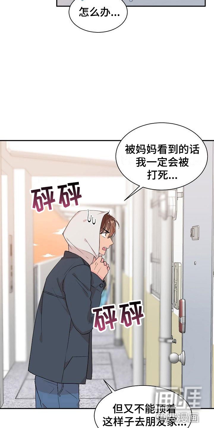 第19章： 我的狗男孩：产品试用