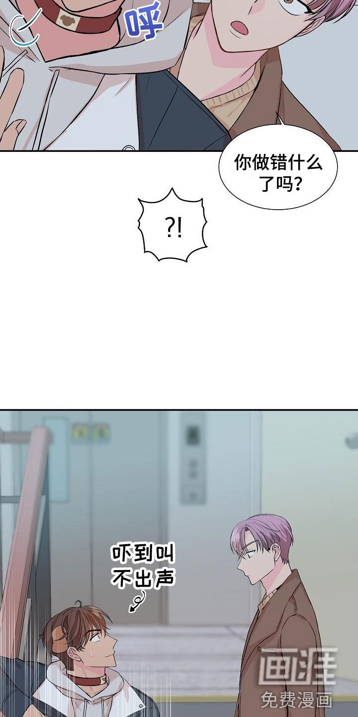 第19章： 我的狗男孩：产品试用