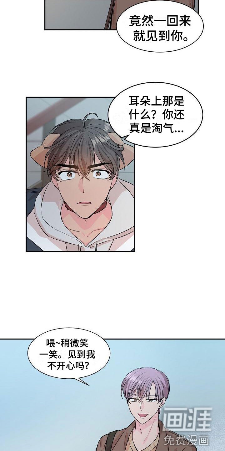 第20章：我的狗男孩：失控