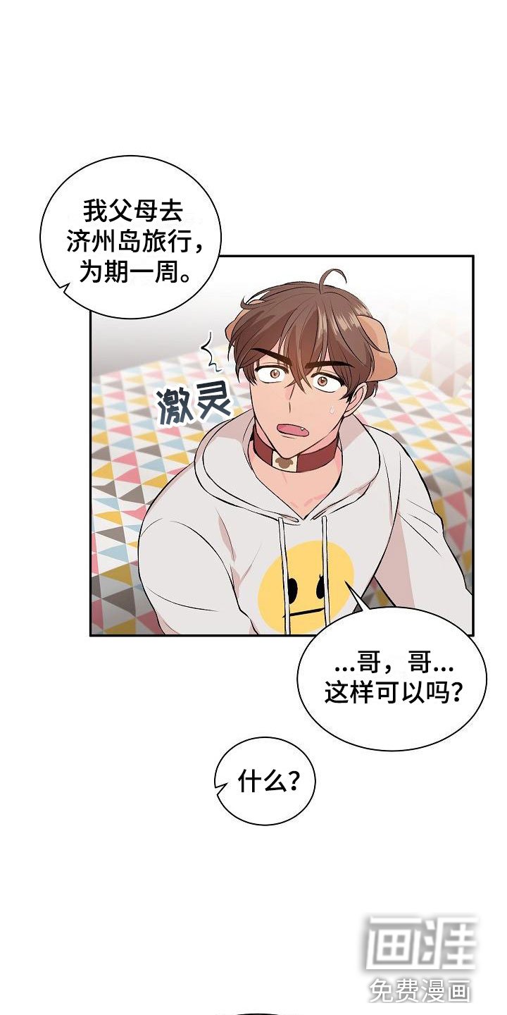第20章：我的狗男孩：失控