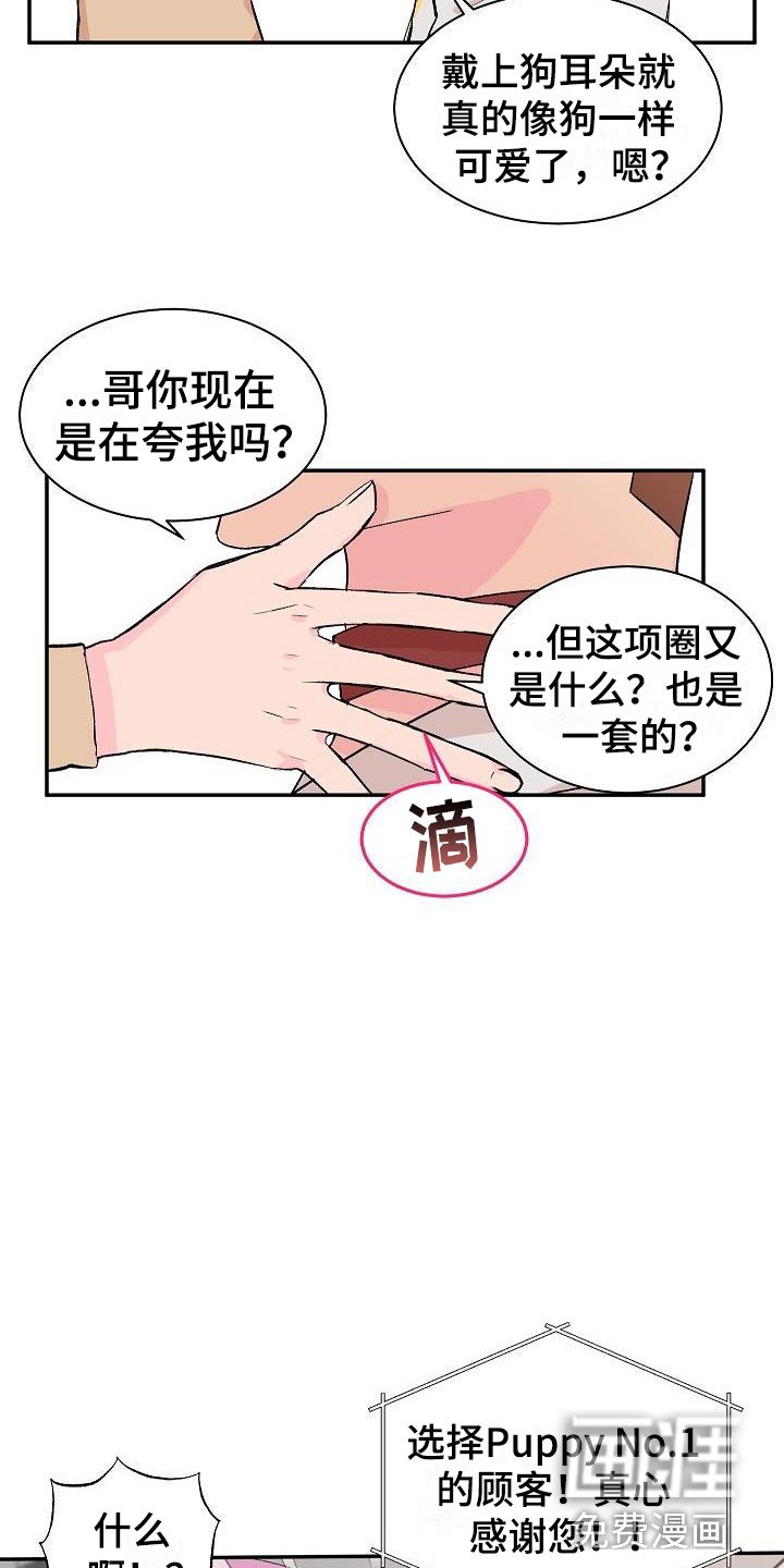 第20章：我的狗男孩：失控