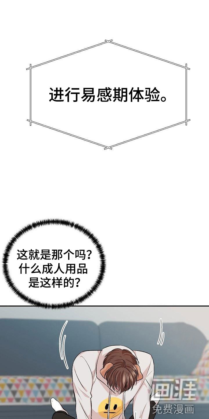 第21章： 我的狗男孩：体验