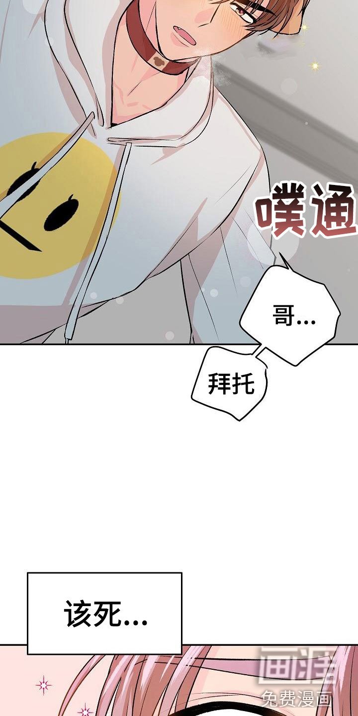 第21章： 我的狗男孩：体验