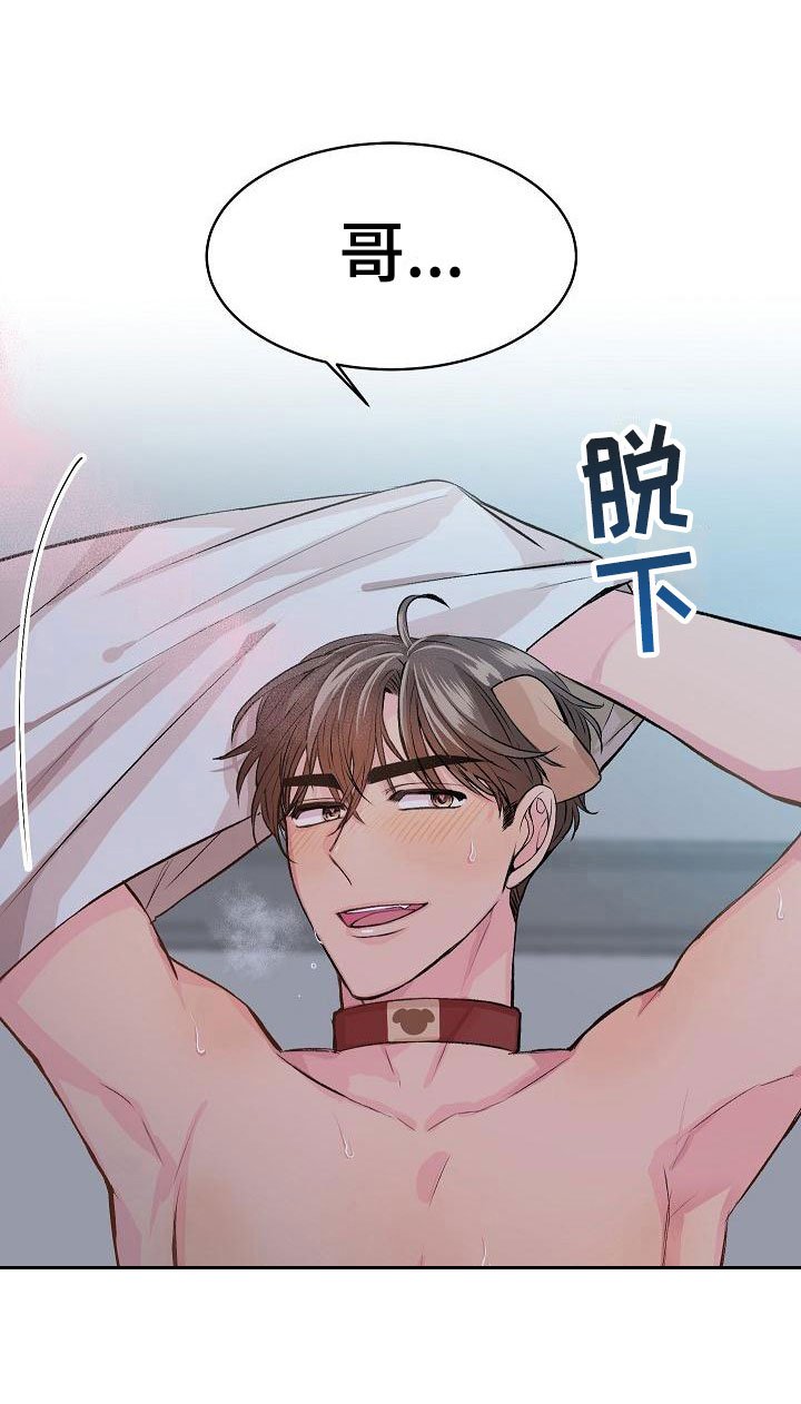 第21章： 我的狗男孩：体验